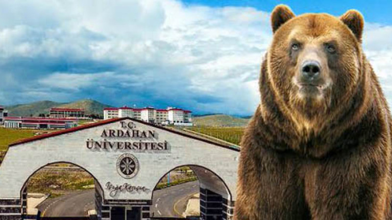 Üniversiteden ayı uyarısı geldi