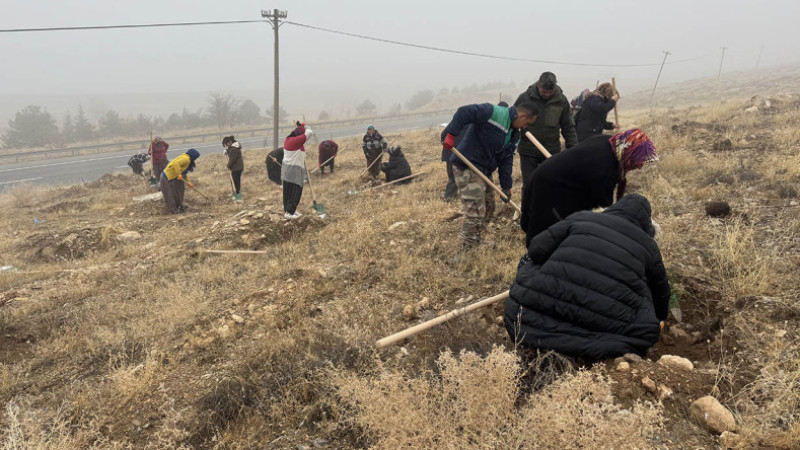 Büyükşehir, Ağaçlandırma Çalışmalarına 1200 Fidanla Yahyalı’da Devam Etti