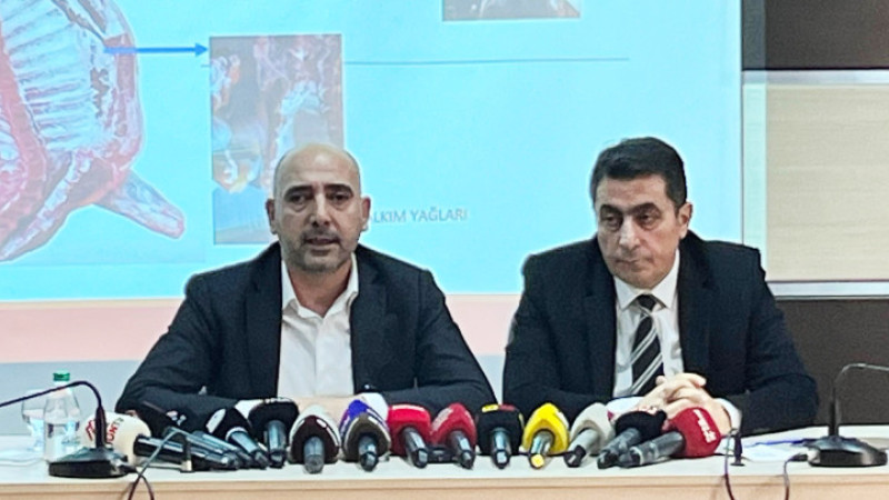 Covid gibi bir hastalık; Zarar 4 milyar dolar 