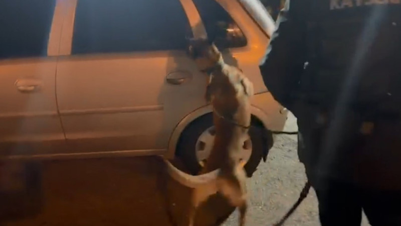 Narkotik köpeği aramada maddeleri buldu