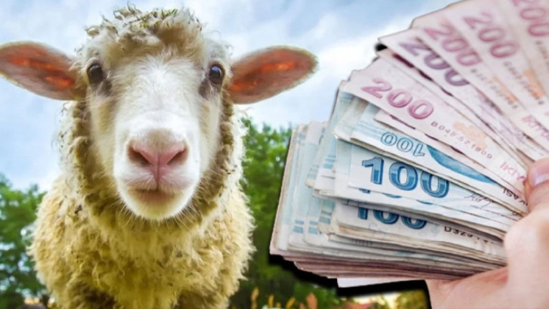 CHP’li Genç; “Emekli ikramiyesinin kurban karşısındaki gücü yüzde 118’den yüzde 29,6’ya düştü”