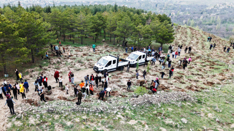 Büyükşehir’den Son 7 Yılda 786 Bin Fidan İle Kayseri’ye “Yeşil” Katkı