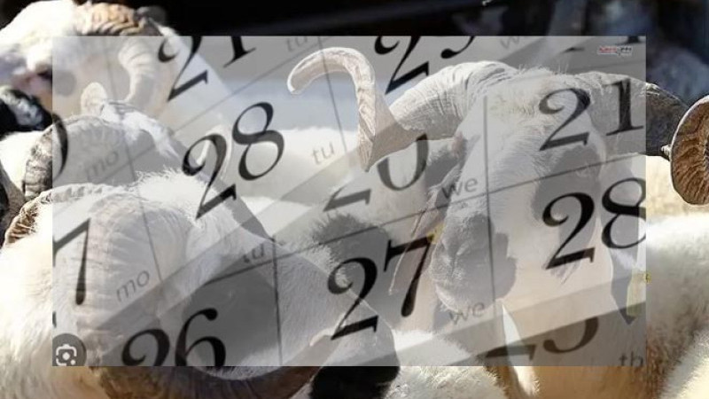 2026 Kurban Bayramı ne zaman? 9 gün tatil olacak mı, kaç gün sürecek?